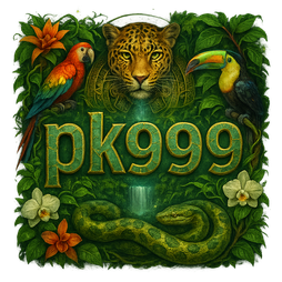 pk999 رابطہ فارم کا منظر